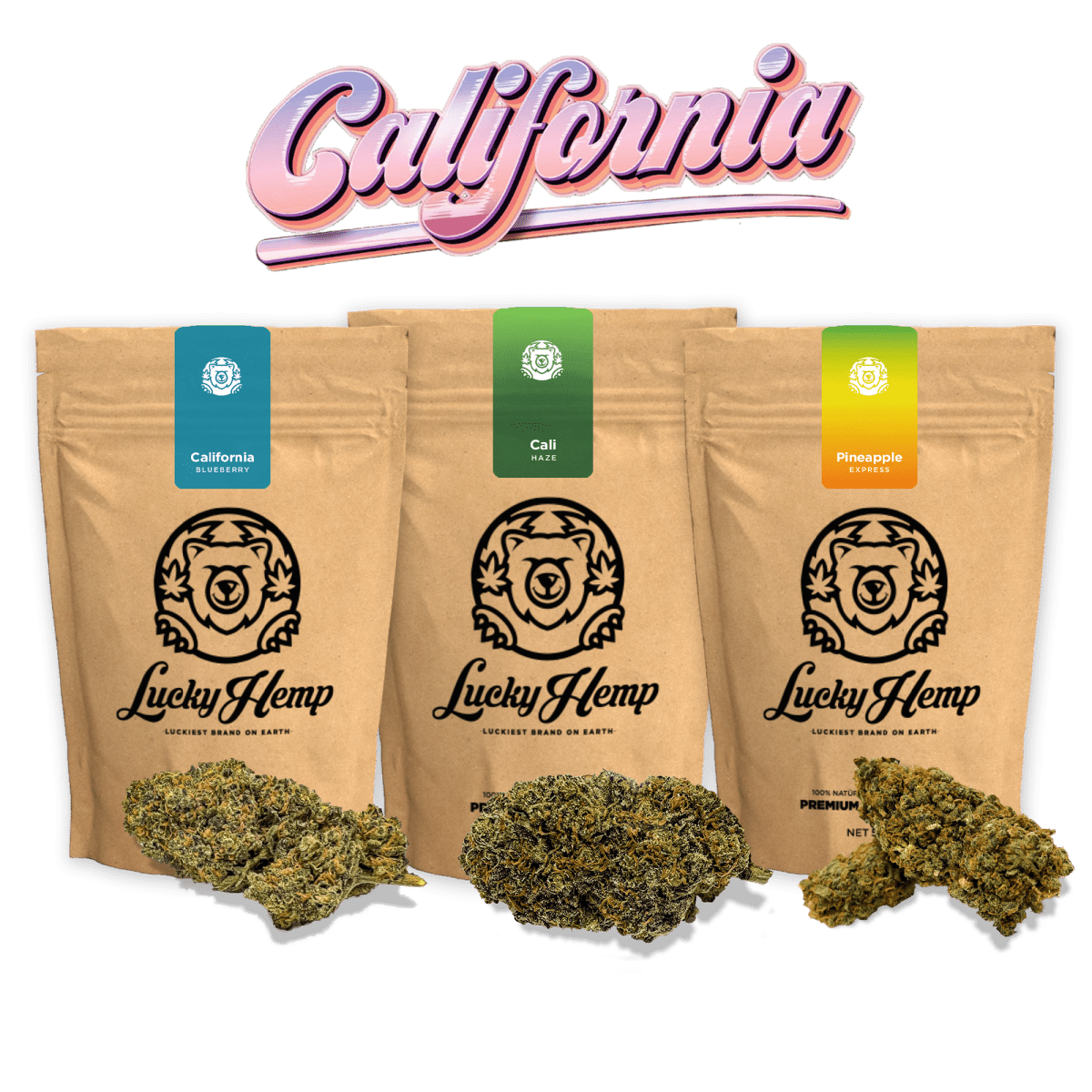 Acquista il Cali Set Ökopack online