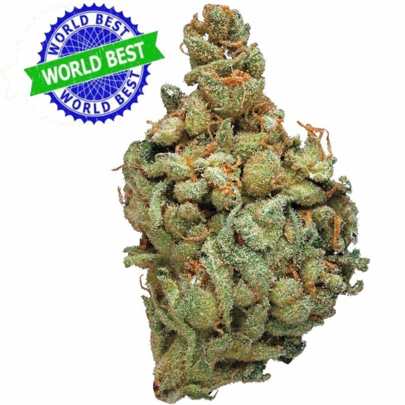 Acquista i fiori di CBD Cali Haze Ms. Solar Indoor (10g) online