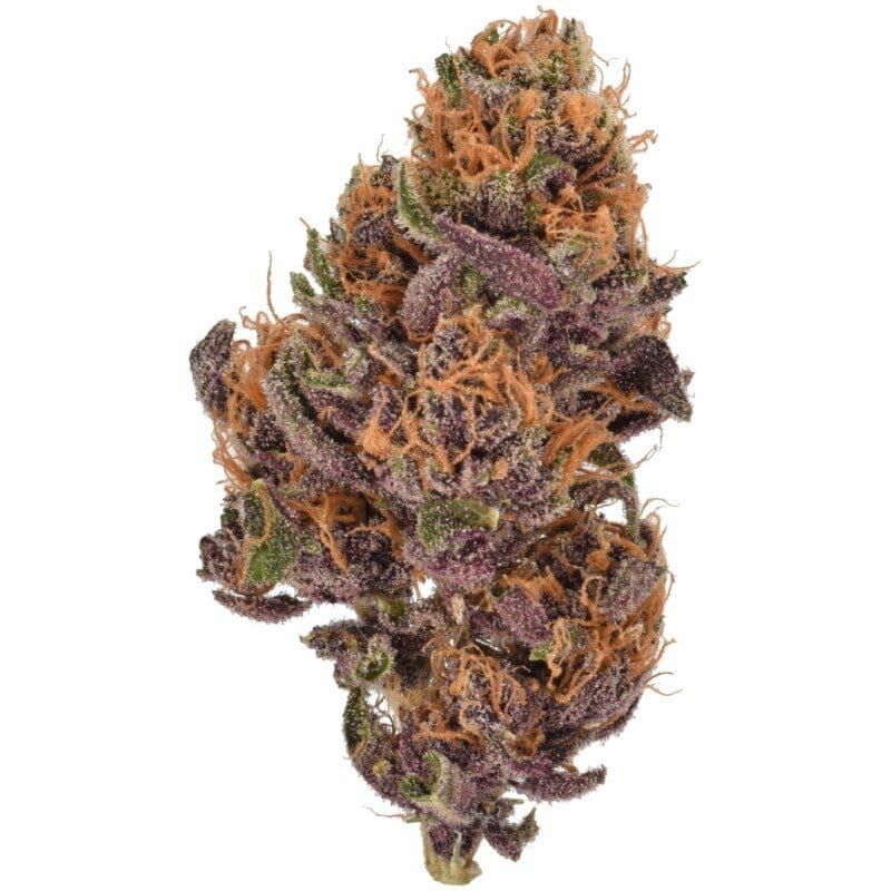 Acquista California Fleur Purple Kush "Q" inomhus CBD-blommor (10g) online