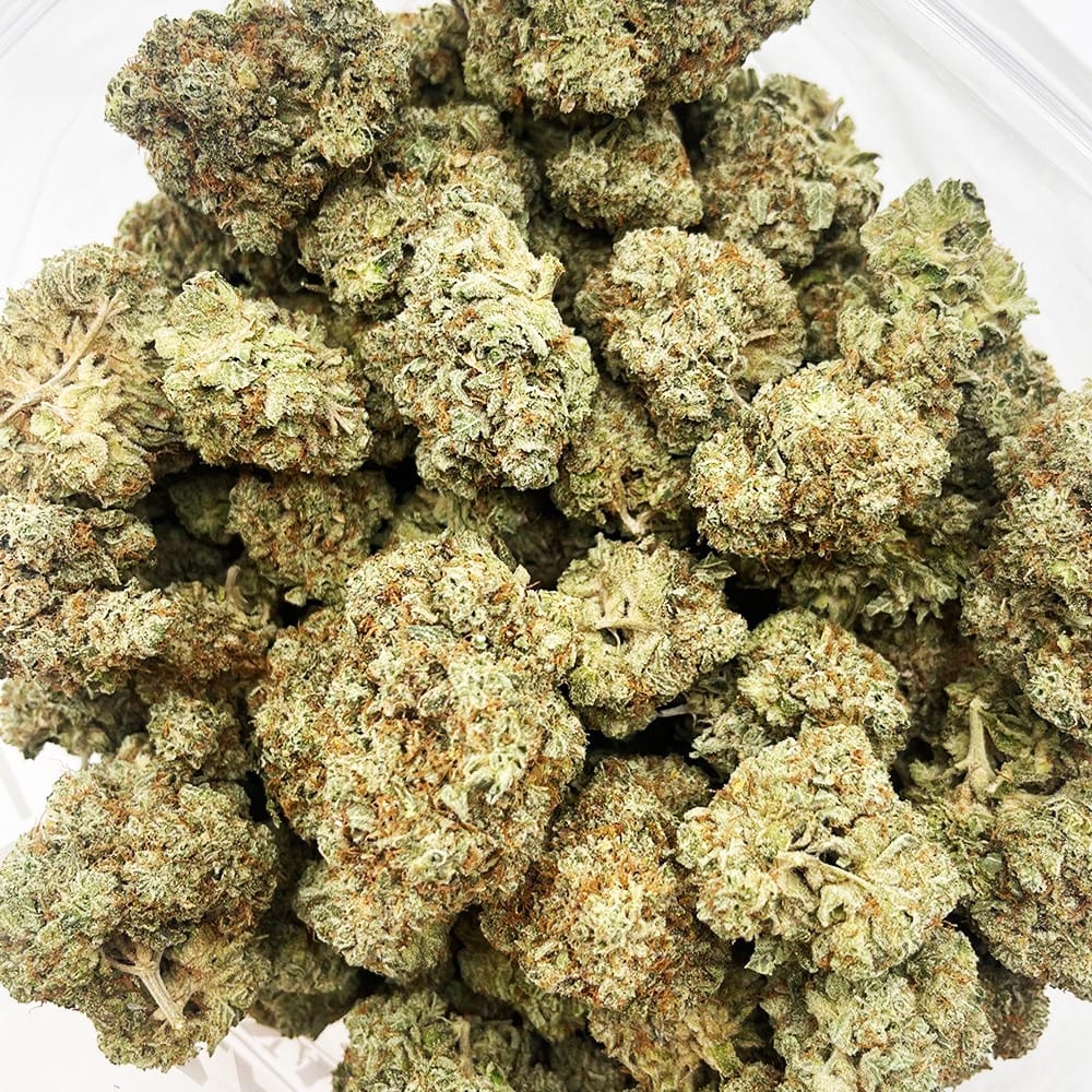 Acquista Chocolate Diesel – Craft Cannabis (1/4 LB – 1/2 LB) online