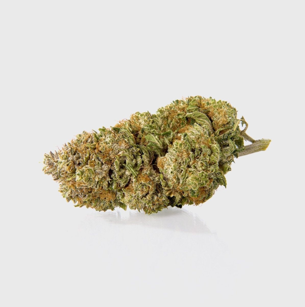 Acquista DASH 14% CBG di Marvin Game 🌿 Online