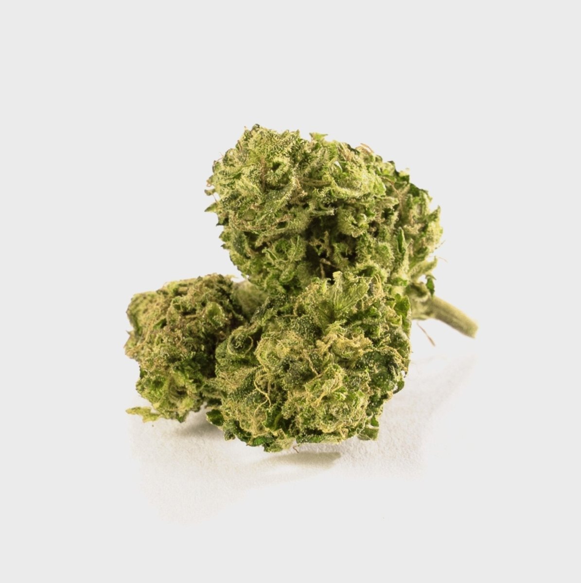 Acquista Super Lemon Haze 15% CBD online 🍋